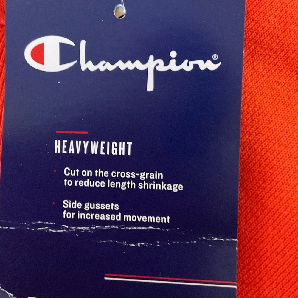 Champion NWT reverse weave hoodie - Picture 4 of 6